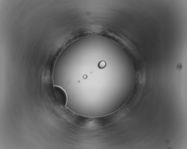 X0000112870564200908211429