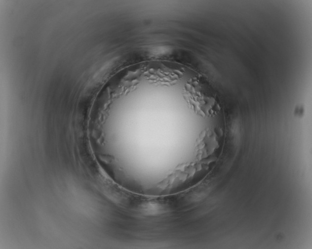 X0000112870565200908211429