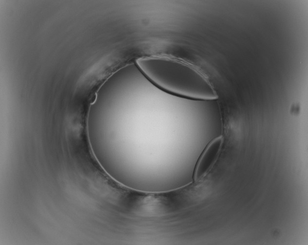 X0000112870566200908211429