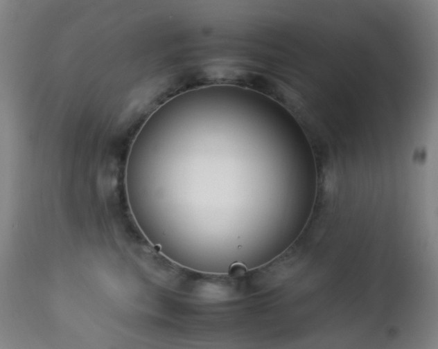 X0000112870567200908211429