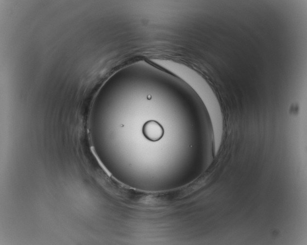 X0000112870568200908211429