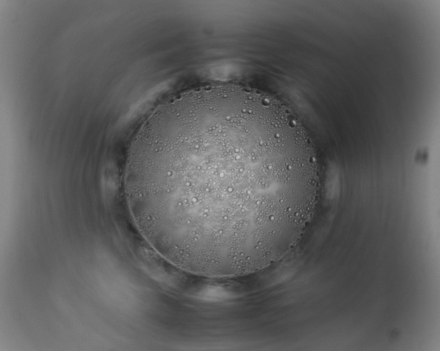 X0000112870569200908211429
