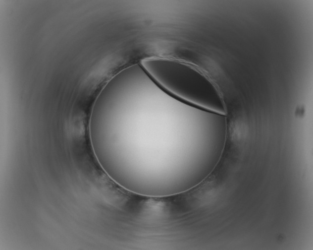 X0000112870570200908211429