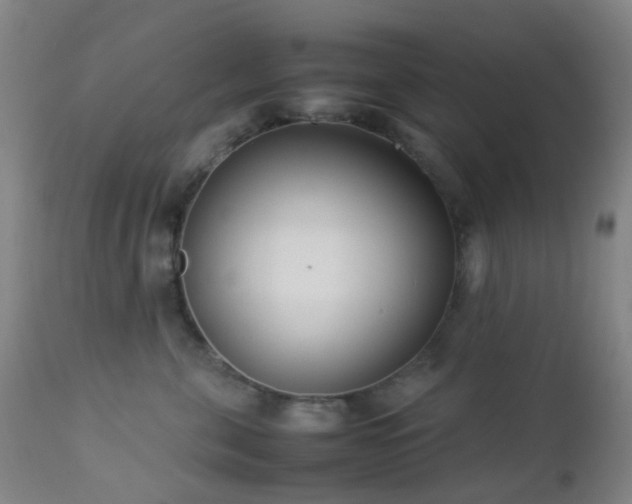 X0000112870571200908211429