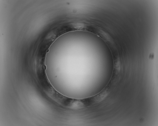 X0000112870572200908211429