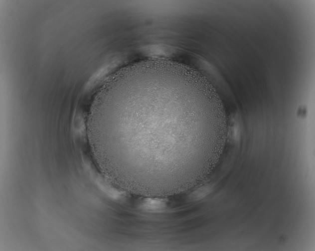 X0000112870573200908211429