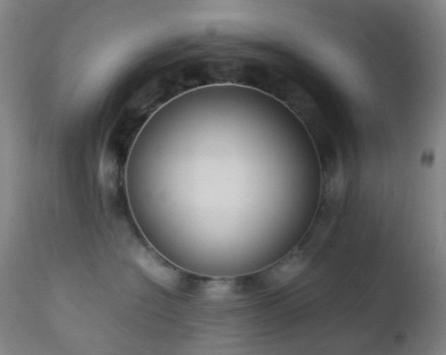 X0000112870574200908211429