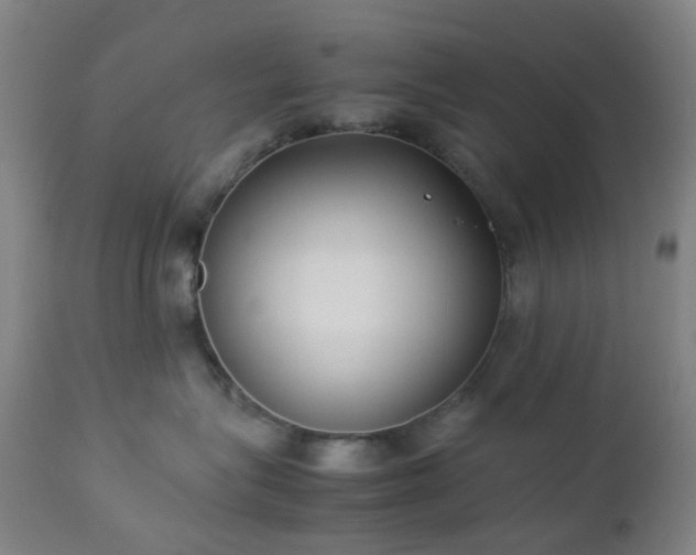 X0000112870575200908211429