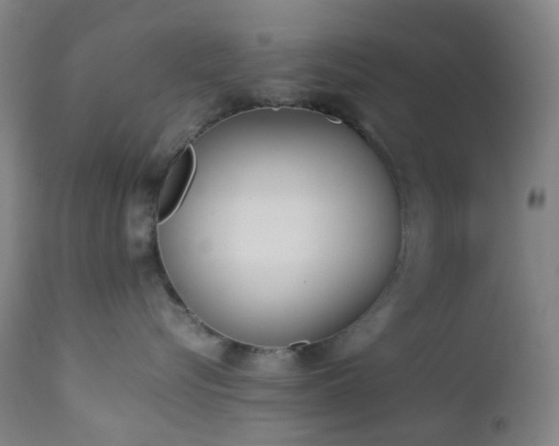 X0000112870576200908211429