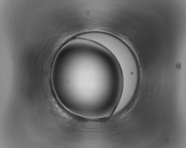 X0000112870577200908211428