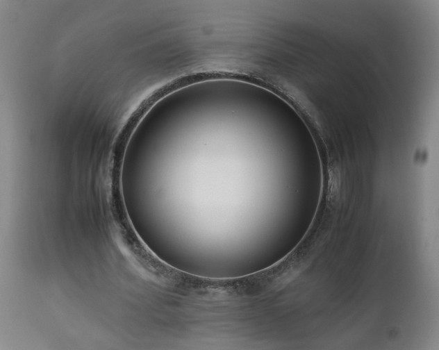 X0000112870580200908211428
