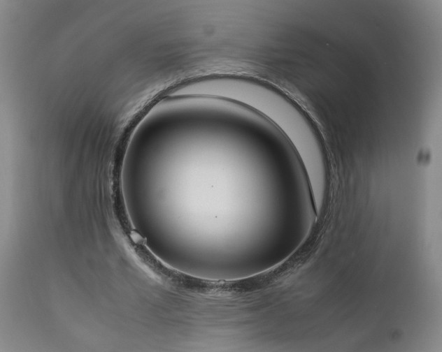 X0000112870581200908211428