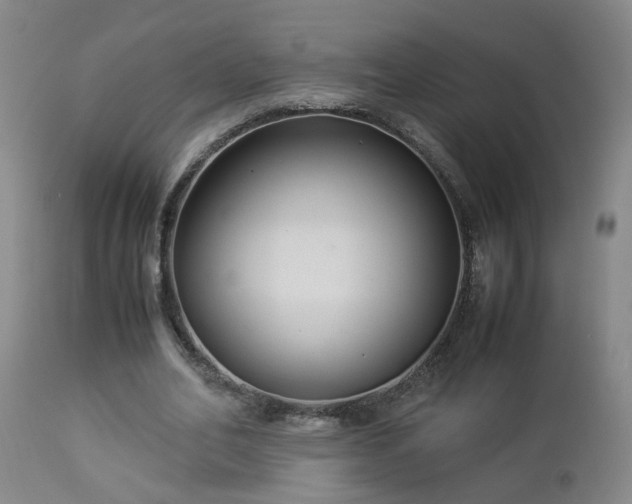 X0000112870582200908211428