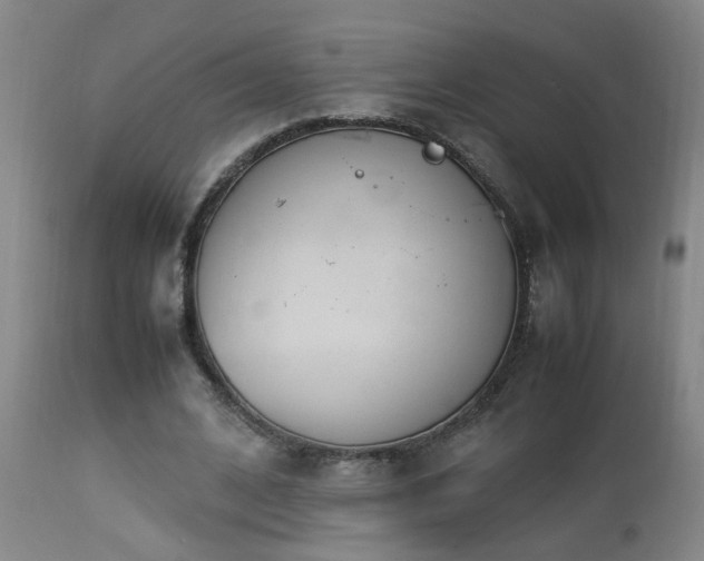 X0000112870584200908211428