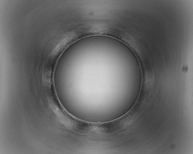 X0000112870585200908211428