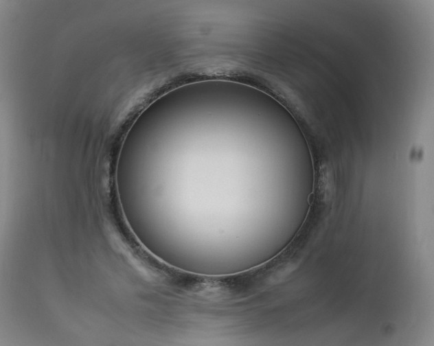 X0000112870589200908211428