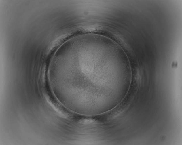 X0000112870590200908211428