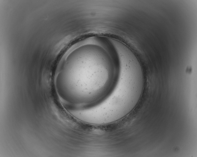 X0000112870592200908211428