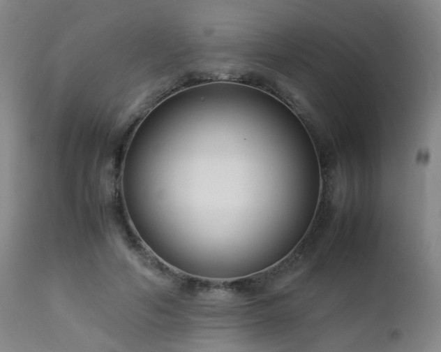 X0000112870594200908211428