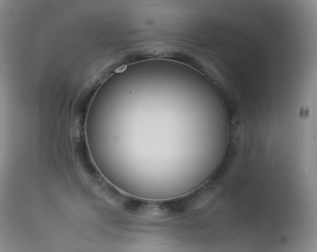 X0000112870597200908211428
