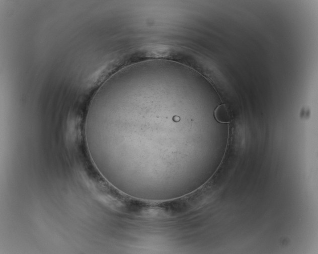 X0000112870598200908211428