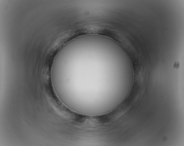 X0000112870599200908211428