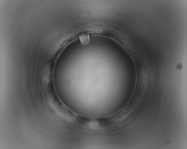 X0000112870600200908211428