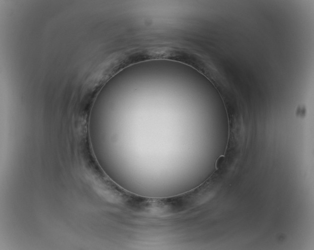 X0000112870601200908211428