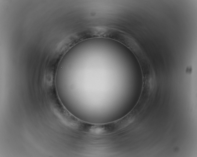 X0000112870602200908211428