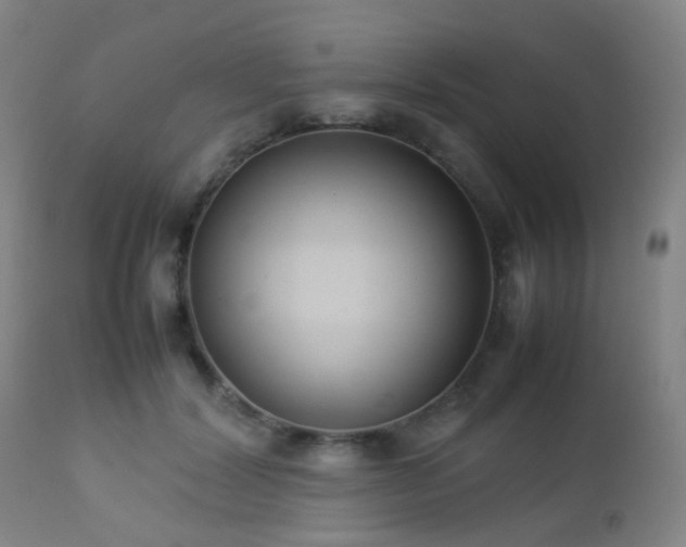 X0000112870604200908211428