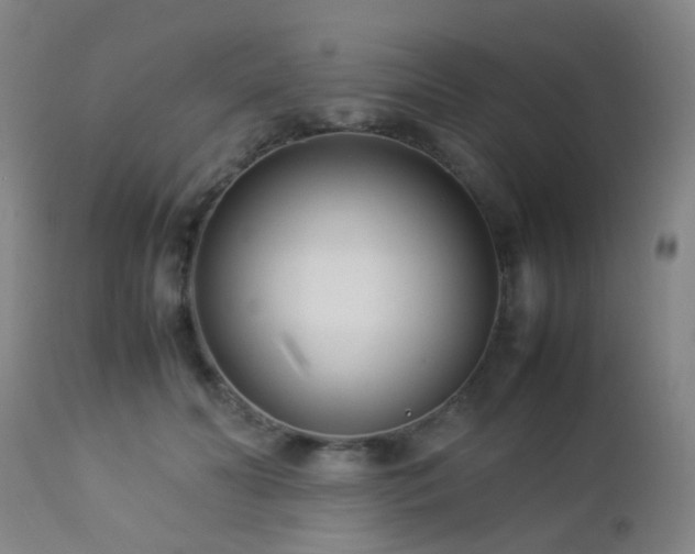 X0000112870606200908211428