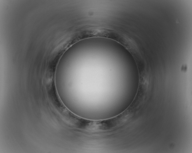 X0000112870607200908211428