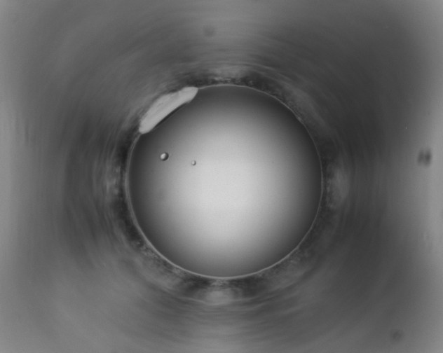 X0000112870608200908211428