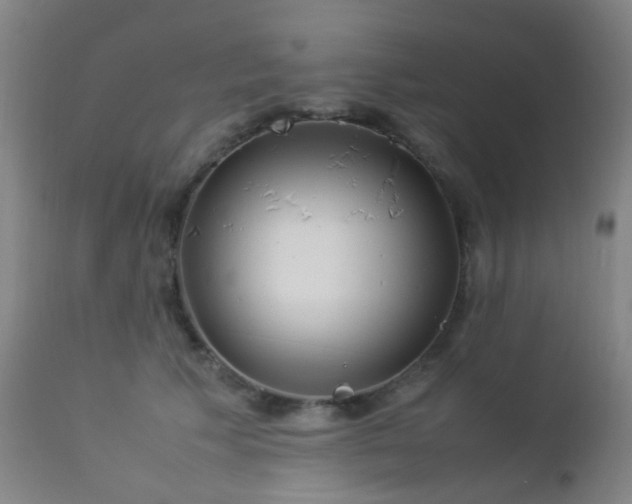 X0000112870609200908211428