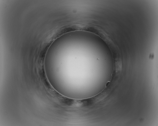 X0000112870613200908211427