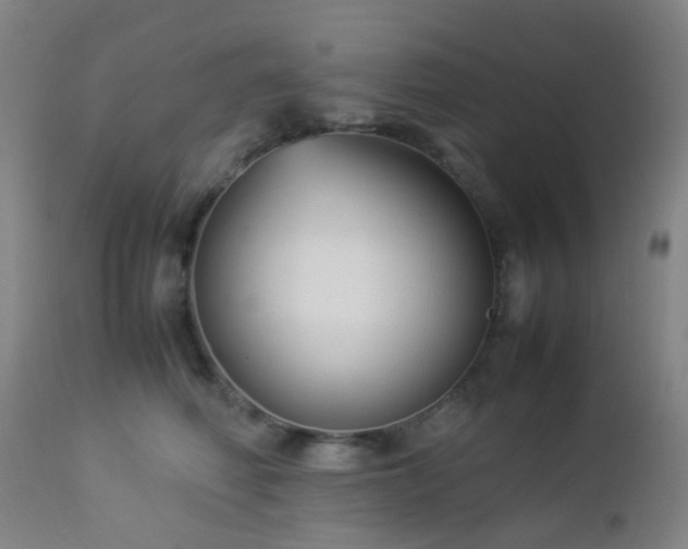 X0000112870614200908211427