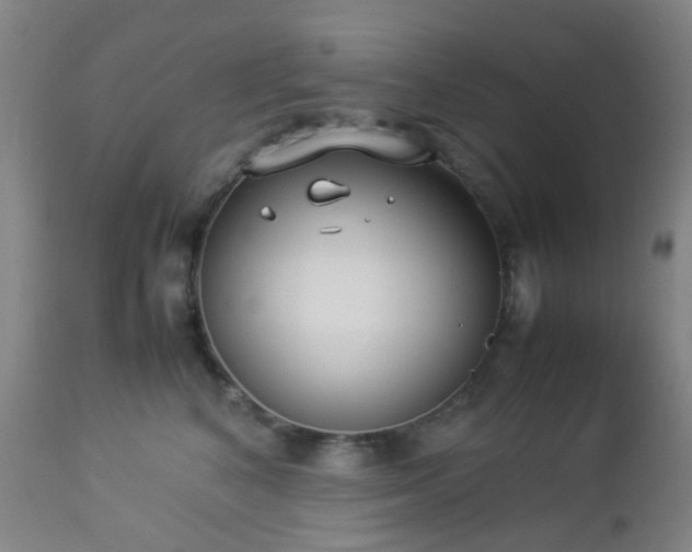 X0000112870616200908211427