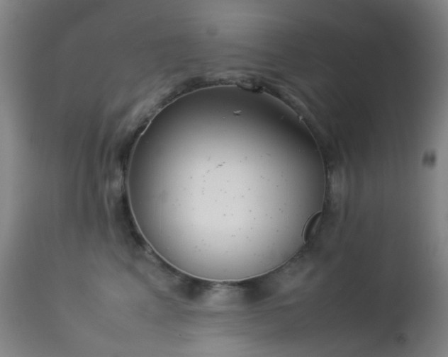X0000112870617200908211427