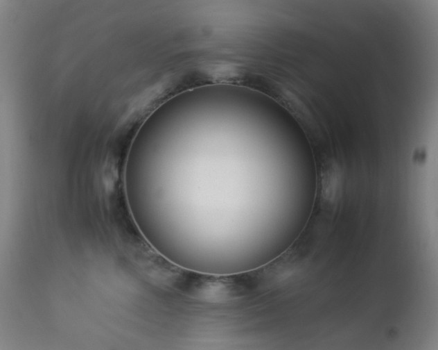 X0000112870618200908211427