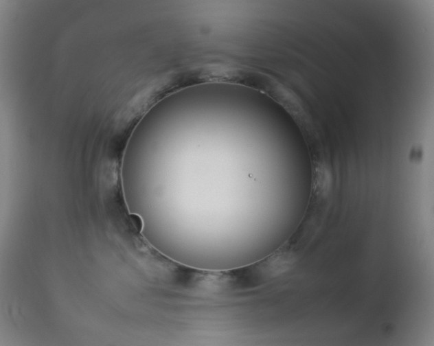 X0000112870621200908211427