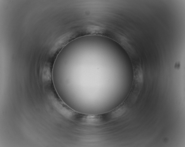 X0000112870622200908211427