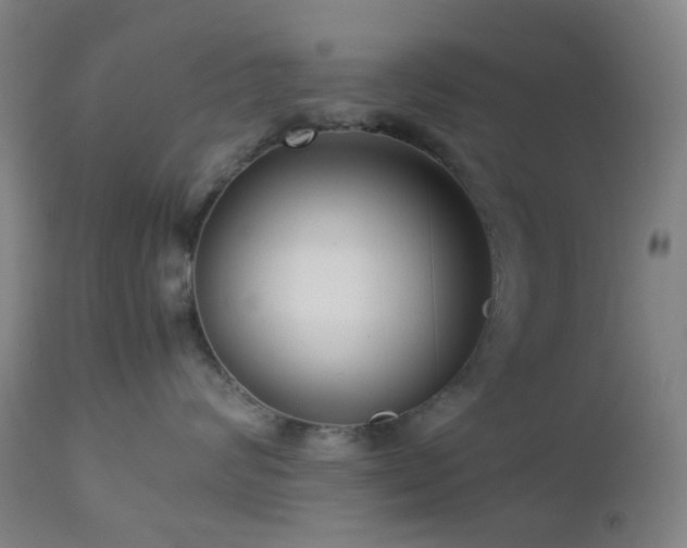 X0000112870624200908211427