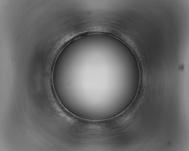 X0000112870625200908211426
