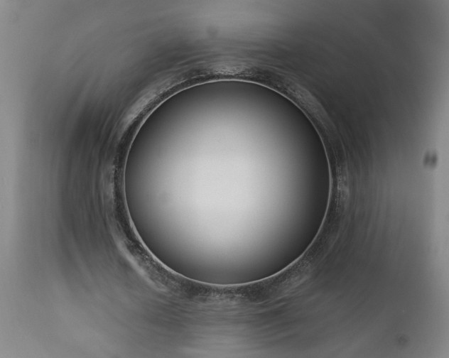 X0000112870626200908211426