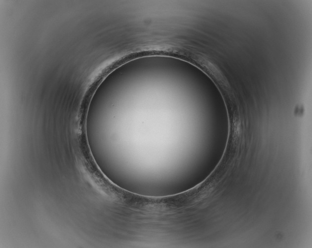 X0000112870628200908211427