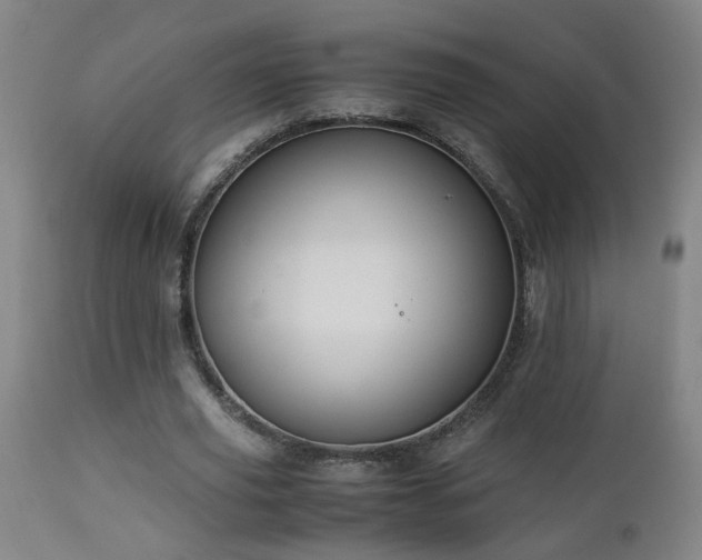 X0000112870629200908211427