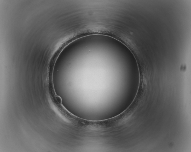X0000112870630200908211427