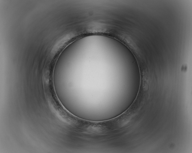 X0000112870631200908211427
