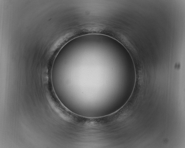 X0000112870634200908211427