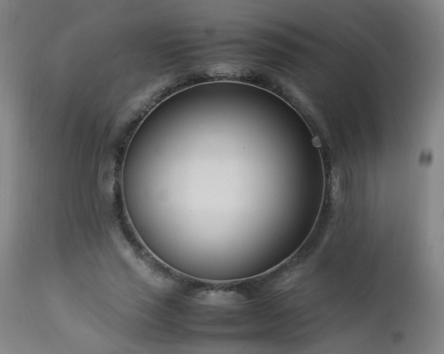 X0000112870637200908211427